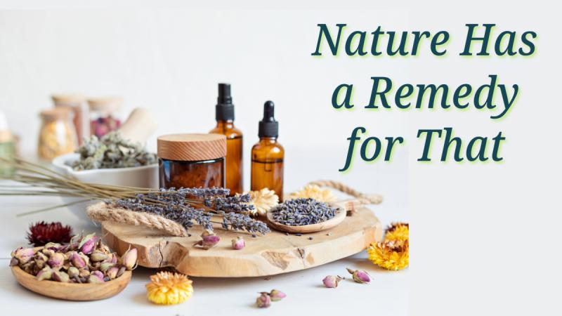 Nature Has a Remedy for That: Herbal First Aid for Common Ailments and Injuries